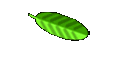 Contact Genie