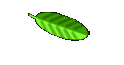 Magic Shop